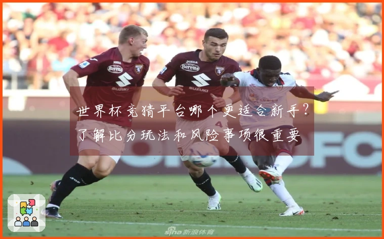 世界杯竞猜平台哪个更适合新手？了解比分玩法和风险事项很重要
