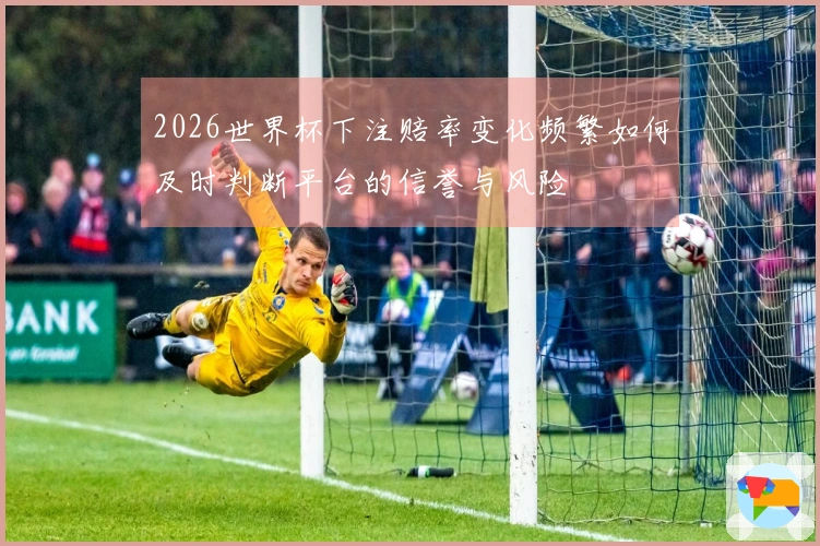 2026世界杯下注赔率变化频繁如何及时判断平台的信誉与风险